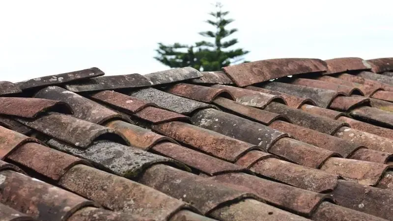 roof