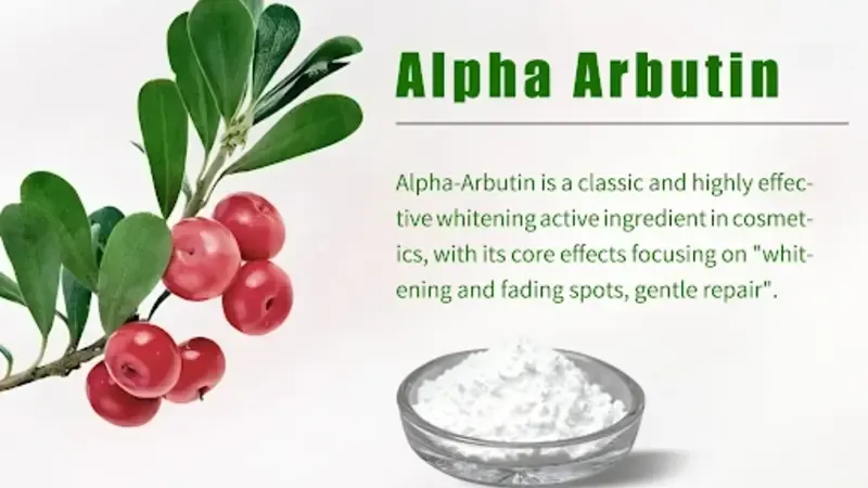 Alpha-Arbutin & Oat Beta-Glucan