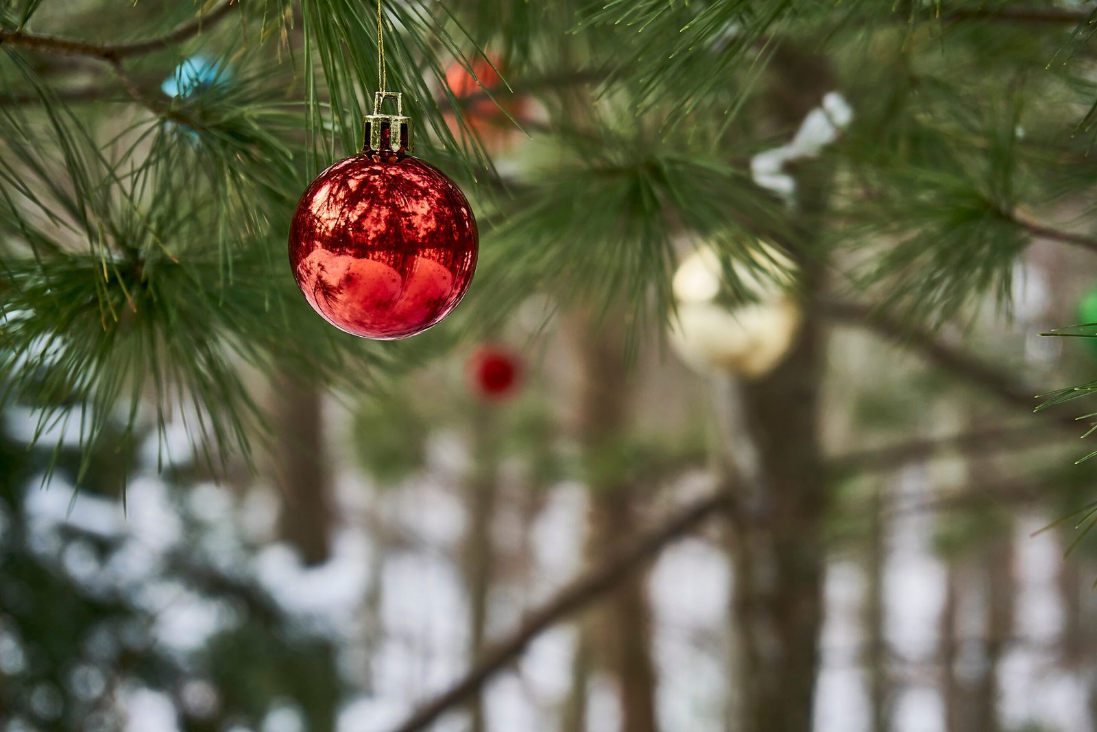ornaments
